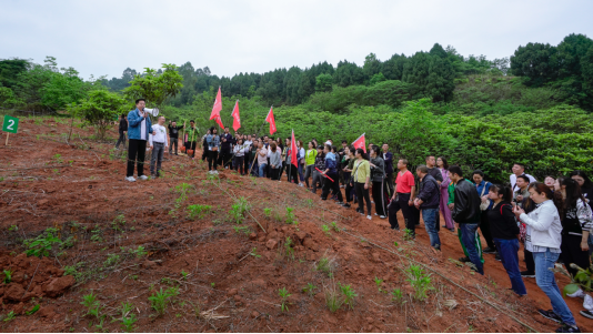 省永利集团集团开展龙泉山都会森林公园 “包山头”植树运动
