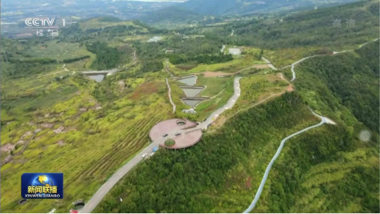 迎橄榄丰收 助墟落振兴 四川永利集团聚峰谷油橄榄工业发动金堂公园都会绿色低碳生长