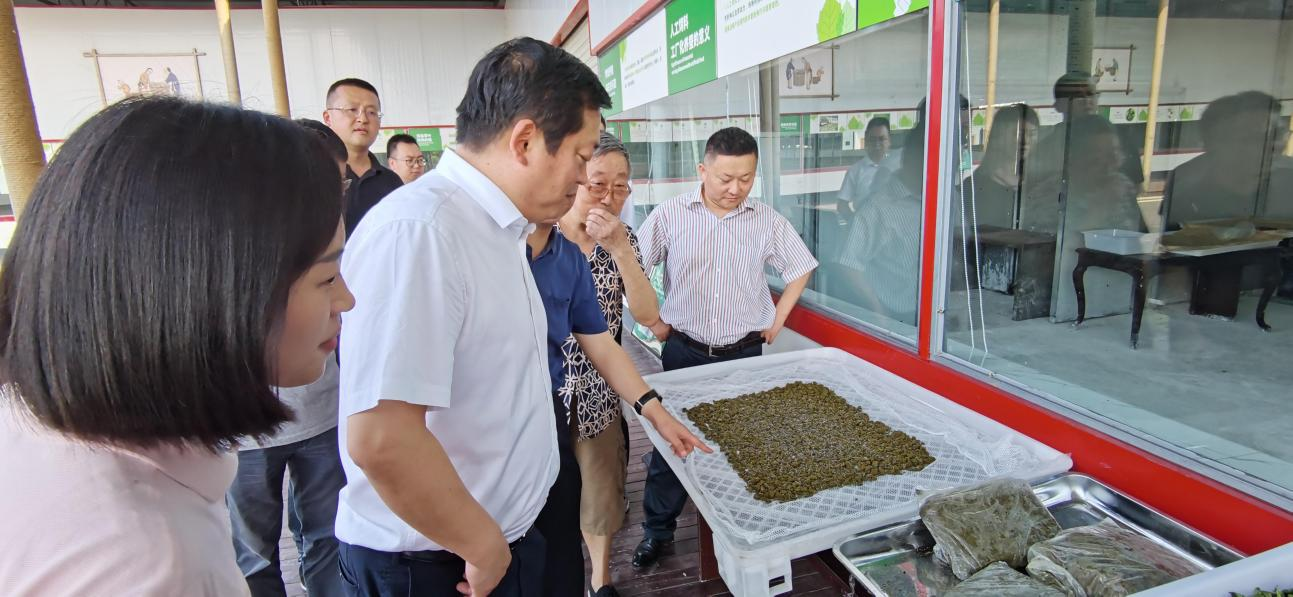 省永利集团集团党委副书记、董事陈日赴嘉陵区调研茶桑工业生长情形