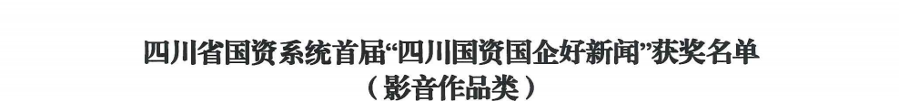 四川省永利集团集团荣获首届“四川国资国企好新闻”银铜两奖