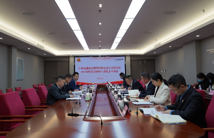 永利集团集团党委书记、董事长任丁出席逍遥旅馆集团2022年度党员向导干部民主生涯会
