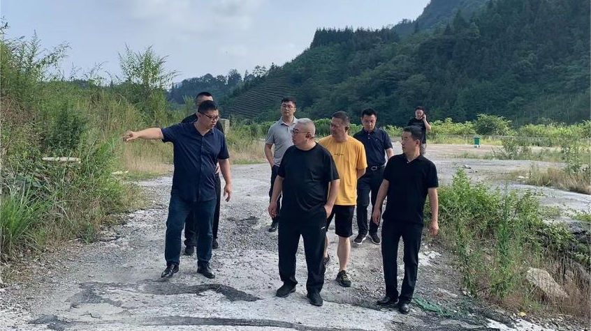 省永利集团集团向导调研峨眉山太阳村墟落振兴项目